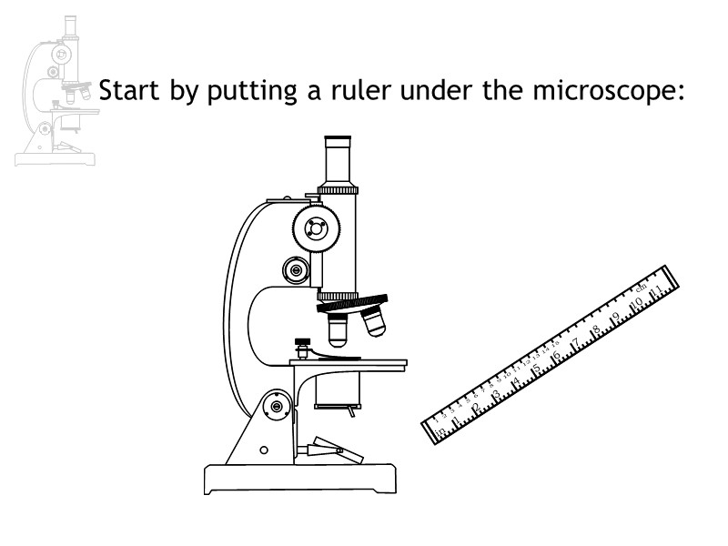 Start by putting a ruler under the microscope: